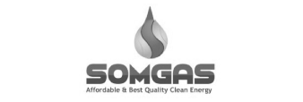SomGas_Green